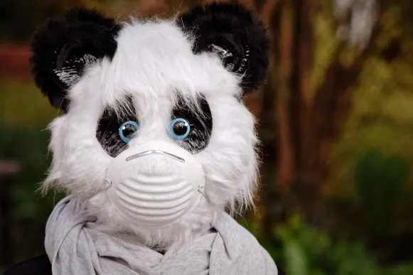 Pronto Casino Supporto